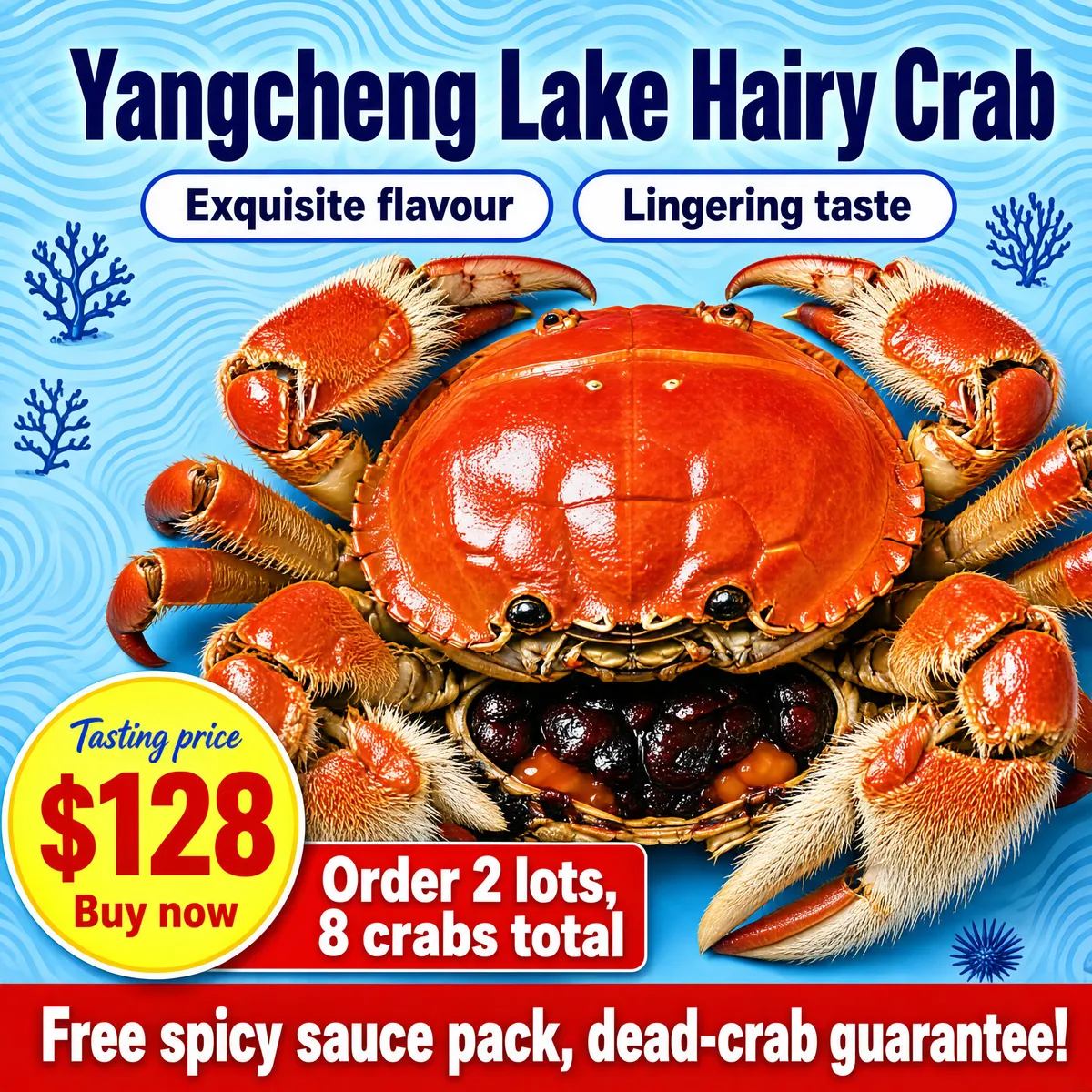 Yangcheng Lake Hairy Crab — Fresh Seafood Deal