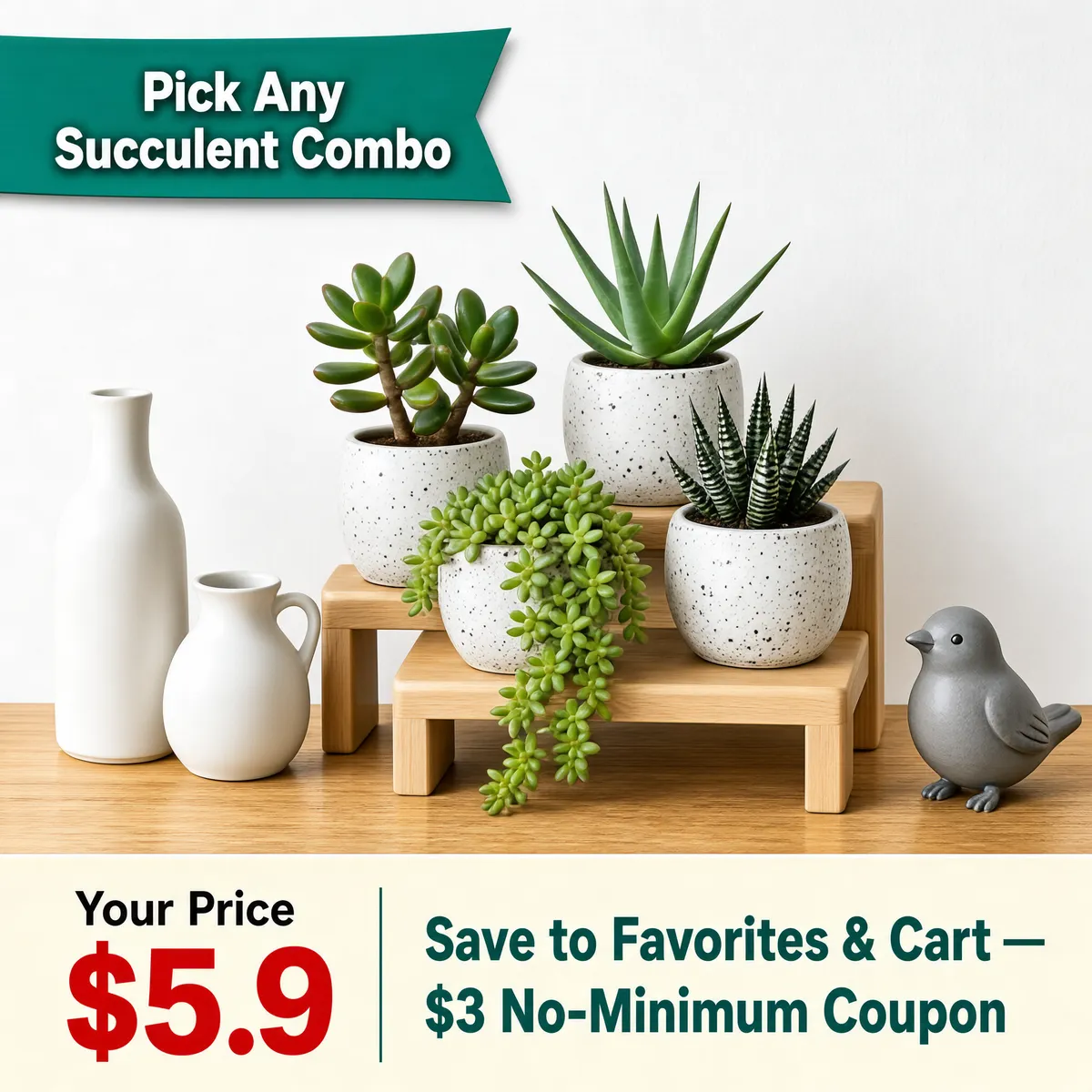 Succulent Combo with Ceramic Vases