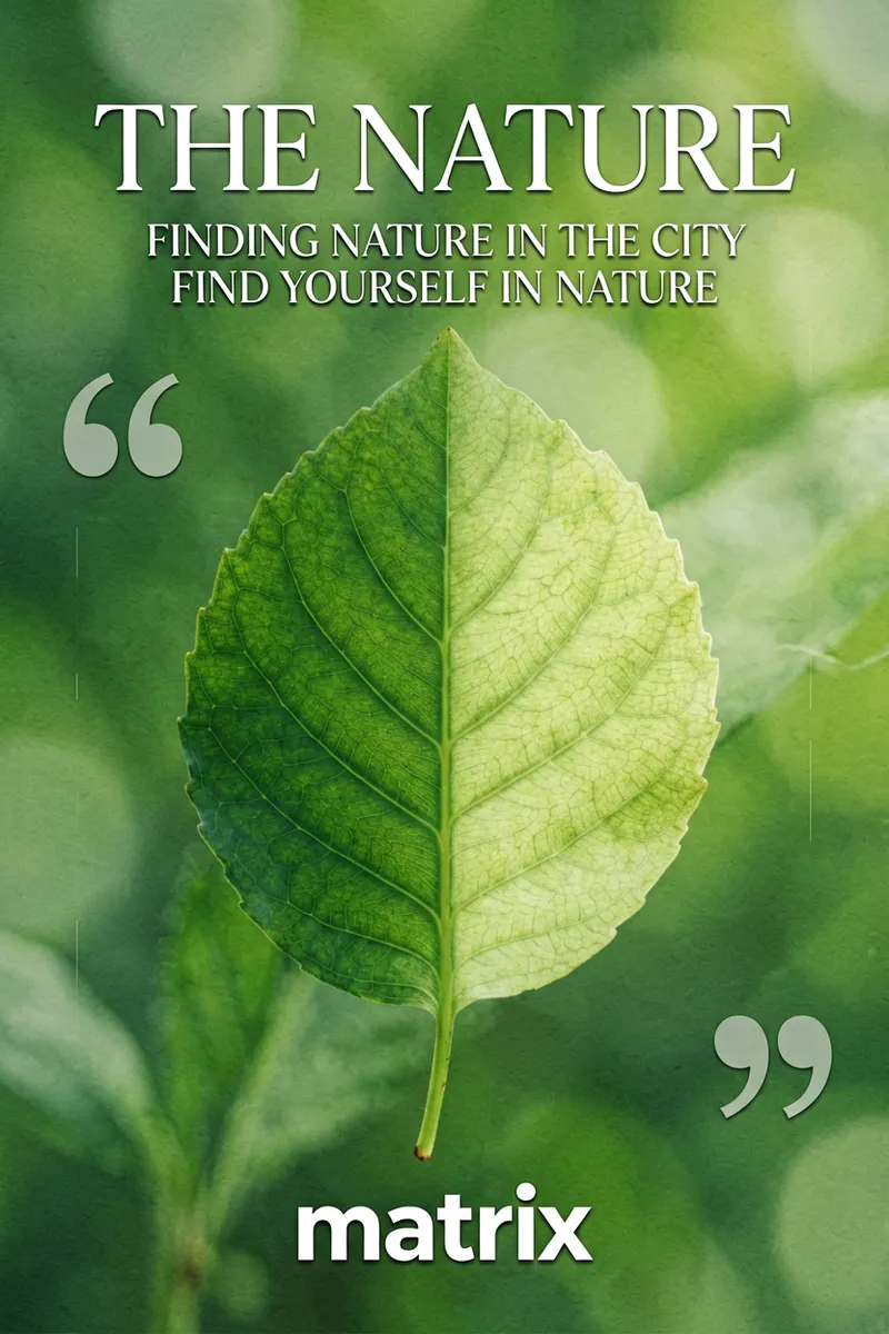 Finding Nature Within the City