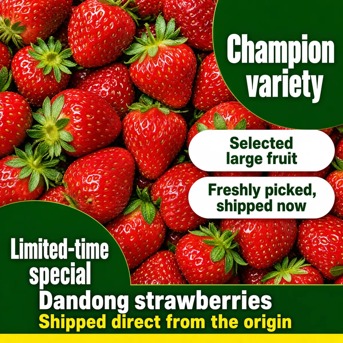 Fresh Dandong Strawberries Bulk Display