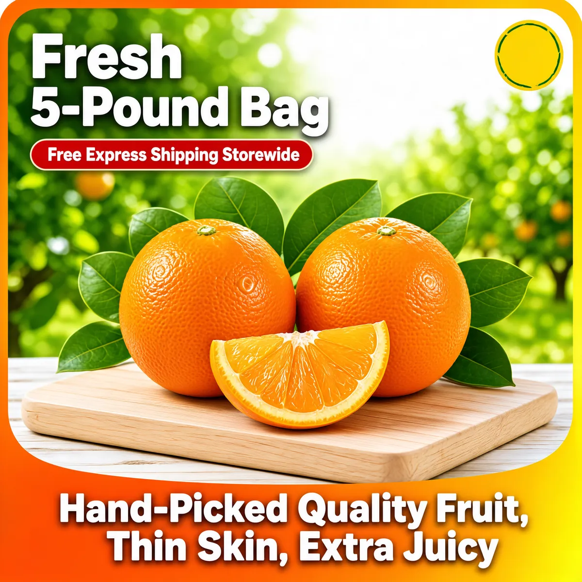Fresh Organic Oranges 5lb Bag