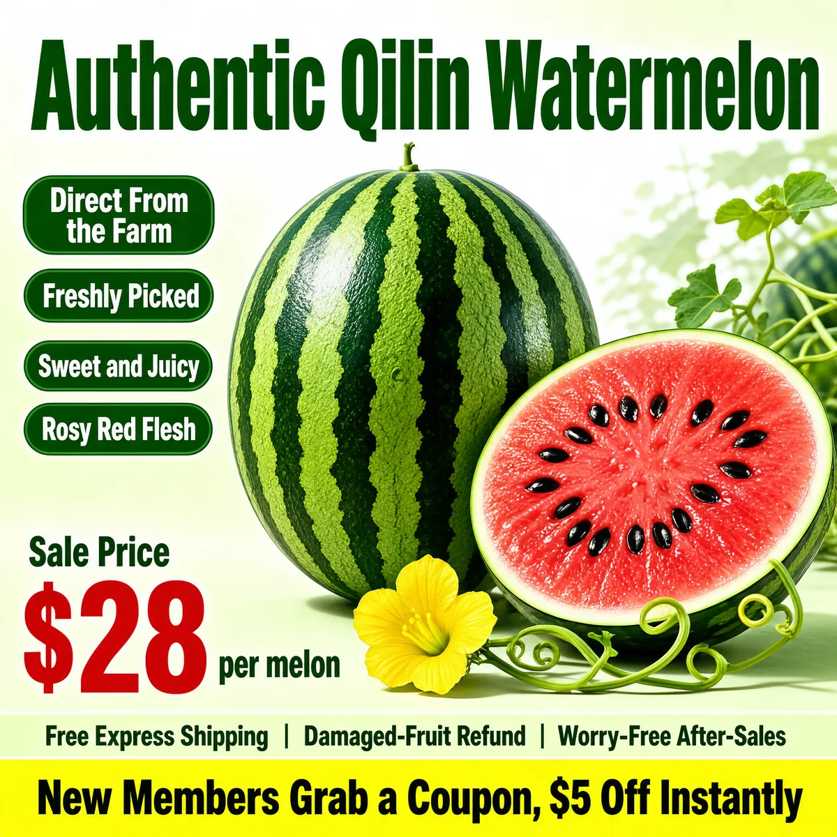 Fresh Qilin Watermelon Sale Banner