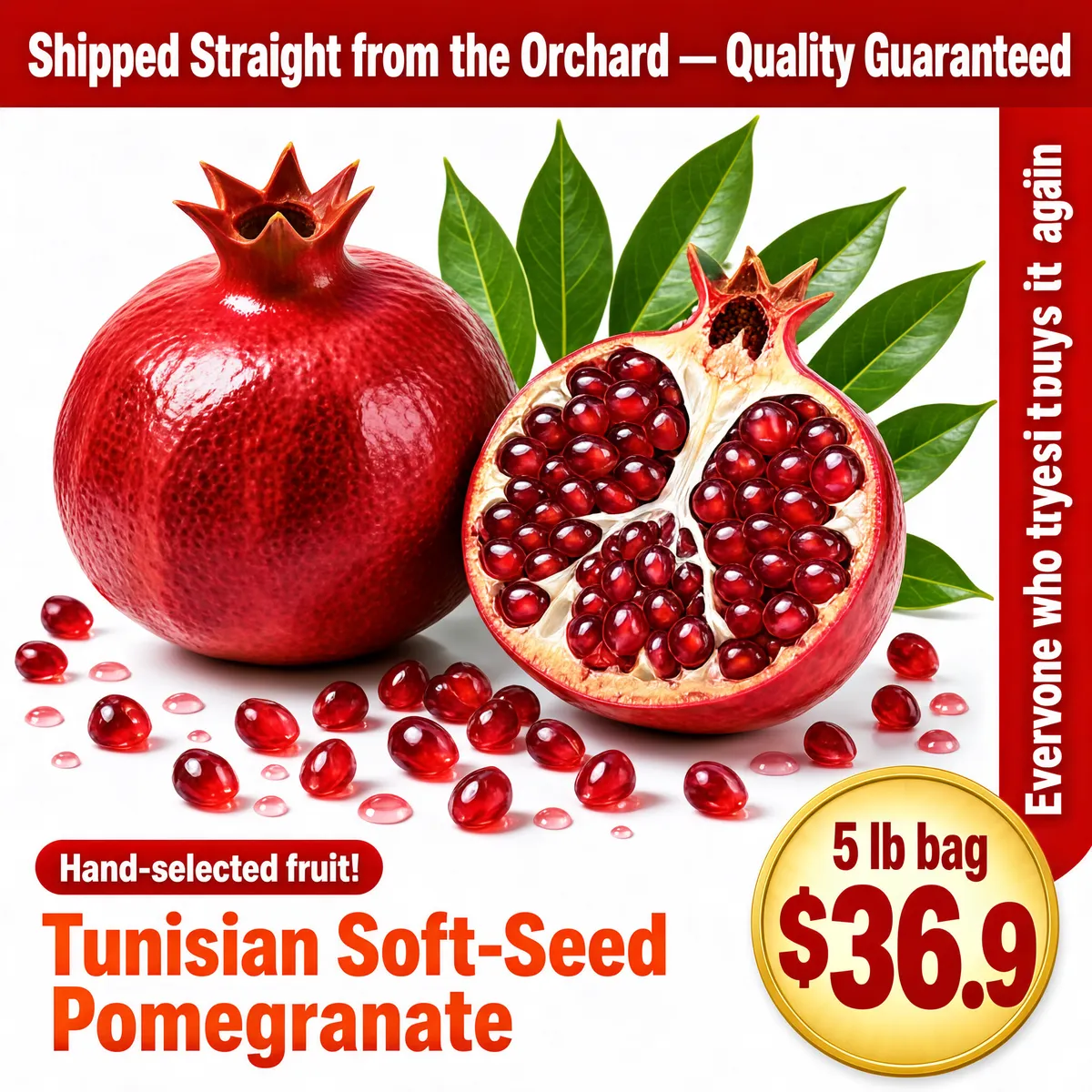 Fresh Tunisian Pomegranates Direct from Orchard