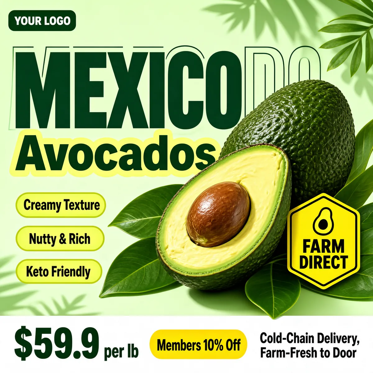 Fresh Mexico Avocados Market Display