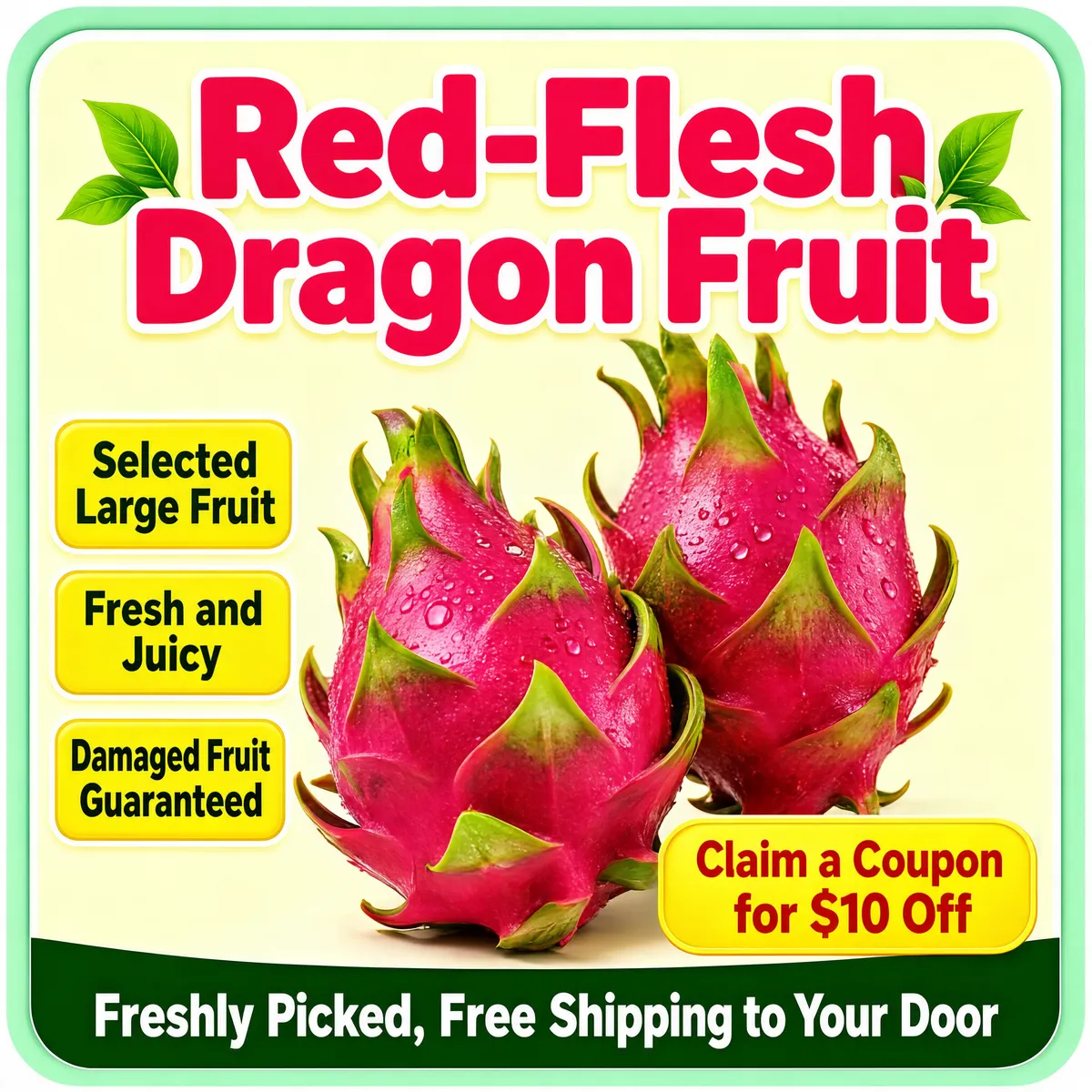 Fresh Red-Flesh Dragon Fruit E-Commerce Product Image