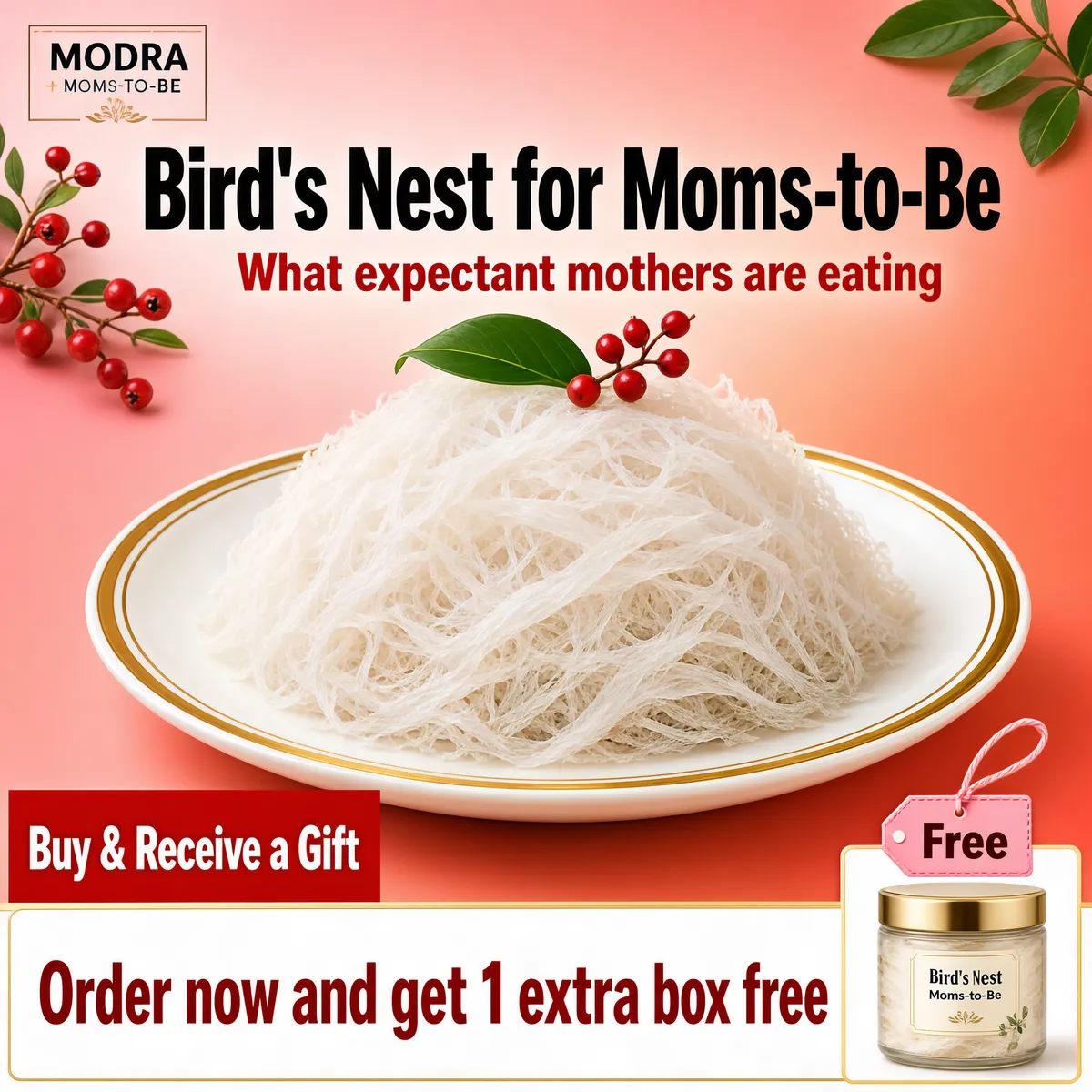Bird's Nest Gift for Moms-to-Be