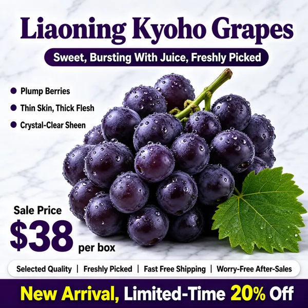 [Format]
Professional e-commerce product main image, square 1:1, premium grape-promo style pairing elegant purple type with dewy fruit photography.

[Colors]
Background is a pale cool grey-white (#eef0f2) marble-like studio ground with soft shadowing; headline type is deep grape purple (#5a2470); the sub-banner is a purple rounded pill with white text; bullet copy is dark grey; the bottom strip is light and the closing banner deep purple with yellow and white type. No frame border.

[Layout]
The headline sits across the top with a rounded purple sub-pill directly beneath; three bullet claims line the left side; a dense cluster of grapes fills the centre and lower two-thirds with one green leaf accent; a price block sits bottom-left above a service strip and a purple closing banner.

[Subject]
No people. A tight cluster of plump deep-violet Kyoho grapes, every berry dusted with natural bloom and beaded with fresh water droplets, a sturdy green stem at the top and one bright green grape leaf tucked at the lower right, photographed at close range with crisp specular highlights.

[Headline]
Top in heavy purple display type: "Liaoning Kyoho Grapes". Below on a purple pill: "Sweet, Bursting With Juice, Freshly Picked". Left bullets in small dark text: "Plump Berries", "Thin Skin, Thick Flesh", "Crystal-Clear Sheen". Bottom left: "Sale Price" above a huge purple "$38" with "per box" beside it. Service strip: "Selected Quality | Freshly Picked | Fast Free Shipping | Worry-Free After-Sales". Purple banner in yellow and white: "New Arrival, Limited-Time 20% Off".

[Mood]
Rich, juicy and premium; dewy violet grapes under cool studio light framed by confident purple sale typography.