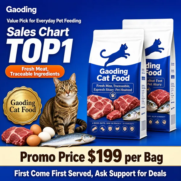 [Format] Professional e-commerce product main image, square 1:1, confident pet-nutrition promo in saturated blue.
[Colors] Royal-blue gradient from #1a5eb8 to #3a86d8, crisp white type, an orange claim pill, a warm cream footer strip and kibble-brown ingredient accents; no frame border.
[Layout] A small white logo sits top-left; the ranking lockup and a sourcing pill fill the upper left; two food bags stand right; a tabby cat sits left beside a gold seal, eggs and fish; a cream price strip and a blue closing bar run along the bottom.
[Subject] Two white-and-blue cat food bags with a leaping cat logo, a blue fill band and ingredient photography, next to an alert brown tabby cat, raw meat cuts, eggs and fresh fish.
[Headline] Value Pick for Everyday Pet Feeding in small white above Sales Chart TOP1 in huge white; the orange pill reads Fresh Meat, Traceable Ingredients; the embossed gold seal circles the words Gaoding Cat Food; the footer shows Promo Price $199 per Bag in dark numerals on cream and First Come First Served, Ask Support for Deals in white on blue.
[Badges] The gold embossed seal on the left stamps the brand-food claim in curved lettering.
[Mood] Bold, best-selling and trust-forward.