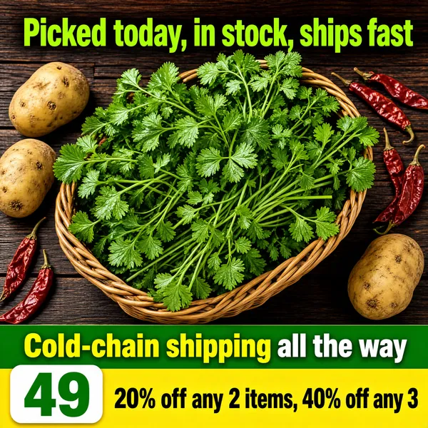 Fresh Cilantro Basket with Farm Promo