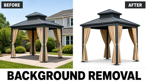 Professional Background Removal Before and After Showcase