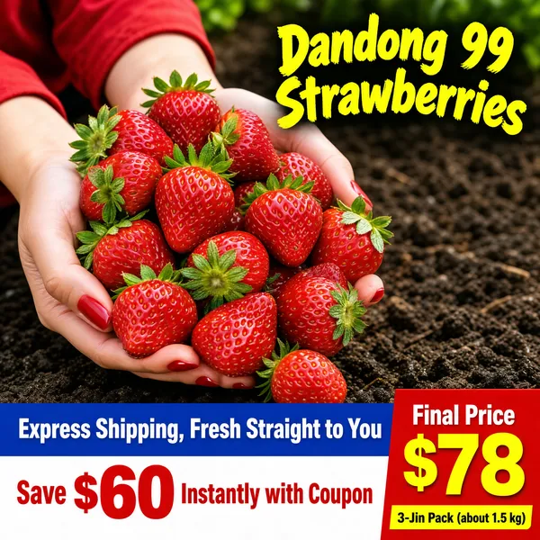 Fresh Dandong 99 Strawberries on Sale