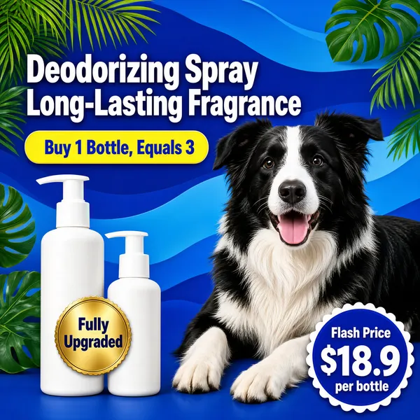 [Format]
Professional e-commerce product main image, square 1:1, friendly pet-care retail style with a bold blue backdrop, tropical greenery and a happy hero dog.

[Colors]
Wavy royal-blue background in the #2456b8 to #16357d range with lighter blue curves, green palm and monstera leaves entering from the top corners, yellow accent chips, white product bottles; No frame border.

[Layout]
The headline stack fills the upper-left; a yellow coupon pill sits directly beneath it; two white pump bottles stand in the lower-left foreground; a black-and-white border collie lies across the right half facing the camera; a gold circular seal overlaps the bottles and a blue price medallion anchors the lower-right corner.

[Subject]
A cheerful border collie with glossy black-and-white coat, tongue out in a happy pant, lying down and looking straight at the viewer; beside it two matte white pump-dispenser bottles of pet deodorizing spray, one tall and one small; bright even light, no people.

[Headline]
Upper-left in very heavy white caps: "Deodorizing Spray" then "Long-Lasting Fragrance"; beneath, a yellow rounded pill with blue text "Buy 1 Bottle, Equals 3". A small gold circle badge on the bottles reads "Fully Upgraded".

[Badges]
Lower-right blue circle medallion with white scalloped edge: "Flash Price" small label over "$18.9" in bold white numerals and "per bottle" beneath.

[Mood]
Fresh, caring and energetic; saturated blue with leafy greens and a delighted dog selling the scent promise.