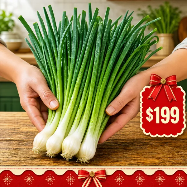 Fresh Organic Scallions Bundle on Rustic Wood