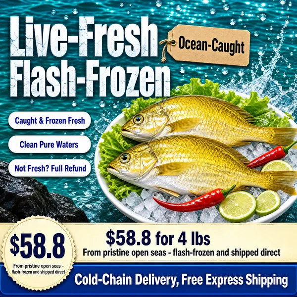 Live-Fresh Seafood Flash-Frozen Market Display