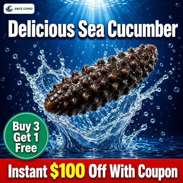 Delicious Sea Cucumber Premium Seafood Ad