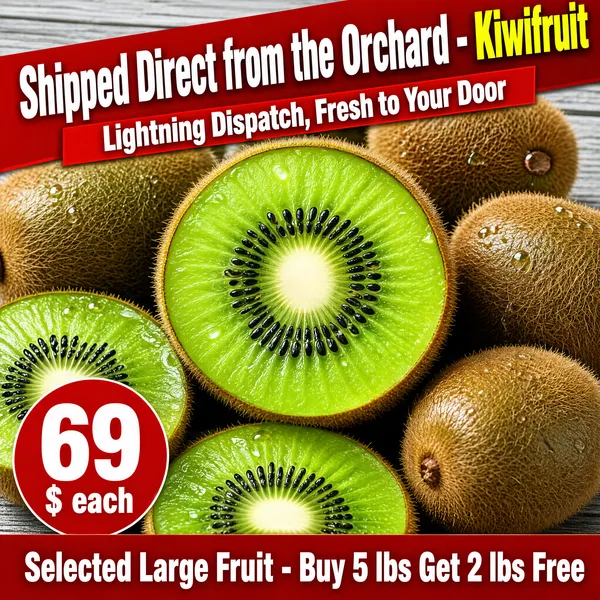 Fresh Kiwifruit Direct from the Orchard