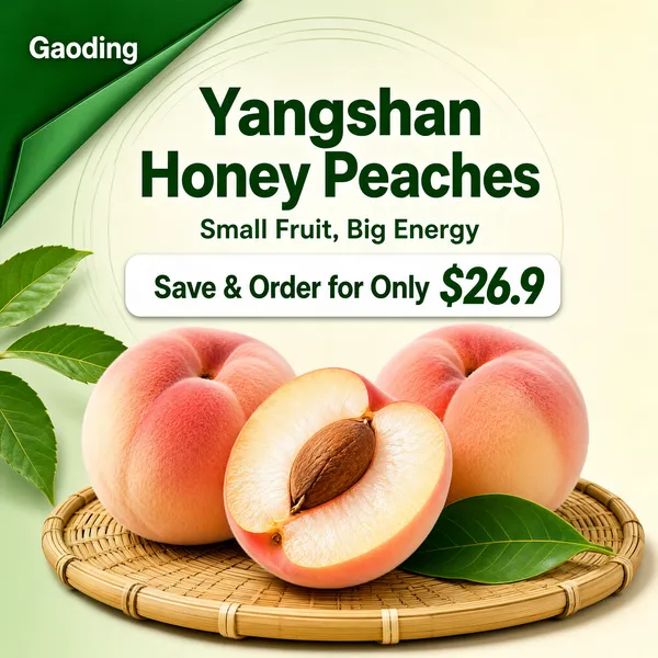 Yangshan Honey Peaches Fresh Farm Product