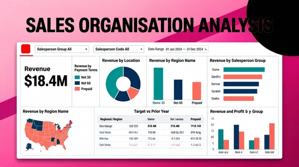 Sales Organisation Analysis Dashboard