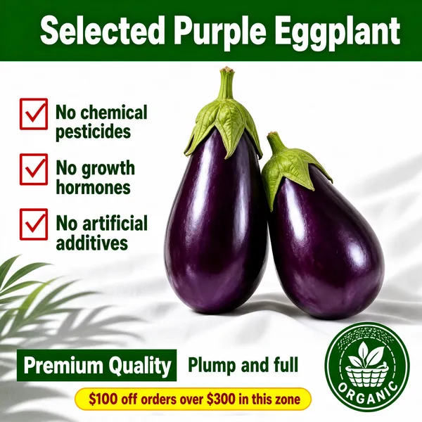 Fresh Organic Eggplant Product Image