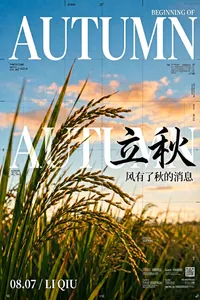 创作一张具有国际杂志封面气质的“立秋”海报，3:4竖版。低机位仰拍逆光稻穗，清澈蓝天与杏橙薄云作为背景，稻穗边缘被夕阳勾亮，风动产生轻微动态模糊，前景稻穗越过文字。超大白色Didone衬线体“AUTUMN”从左侧延伸到右侧并被裁切，英文内部与稻穗交叠；右上小号“BEGINNING OF”，中央偏右以黑色手写书法排“立秋”，下方小字“风有了秋的消息”，左下放“08.07 / LI QIU”。使用精确网格、细线、坐标式信息和小型段落制造编辑密度，蓝、麦金、白、墨黑四色，35mm胶片颗粒。不要普通居中排版，不要空洞留白，不要二维码、Logo、品牌、红枫、满月、月饼、随机伪文字。
